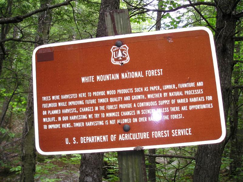 Meader (1).JPG - About a mile in we crossed into the National Forest. This sign says the woods have been used for harvesting lumber in the past.